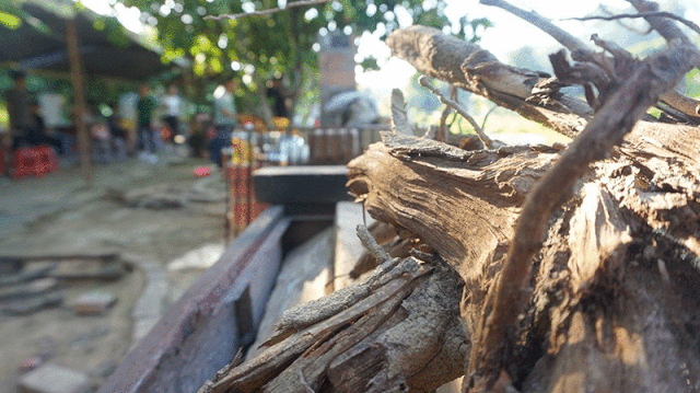 浓情端午,粽情相约-PTI六月拓展活动(images 2)